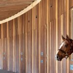 Equine Estate Planning